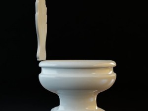 toilet Modèle 3D