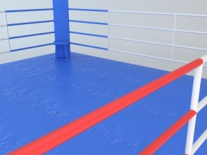 boxing ring 3D 模型