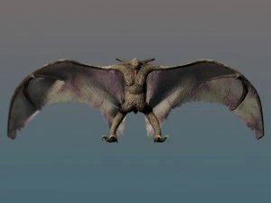 chauve-souris g&eacute;ante Modèle 3D