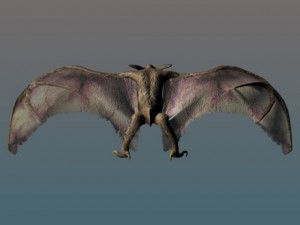 giant bat 3D 模型