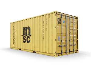 20 feet msc standard shipping container Modello 3D
