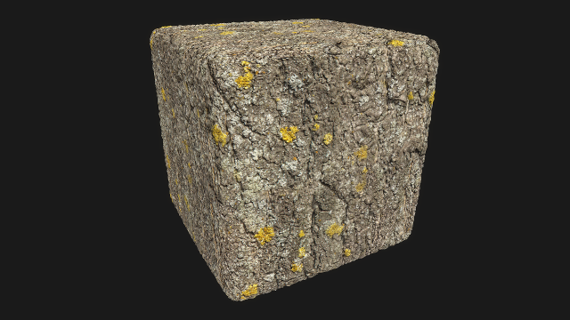 tree bark CG テクスチャ .c4d .max .obj .3ds .fbx .stl .blend 
