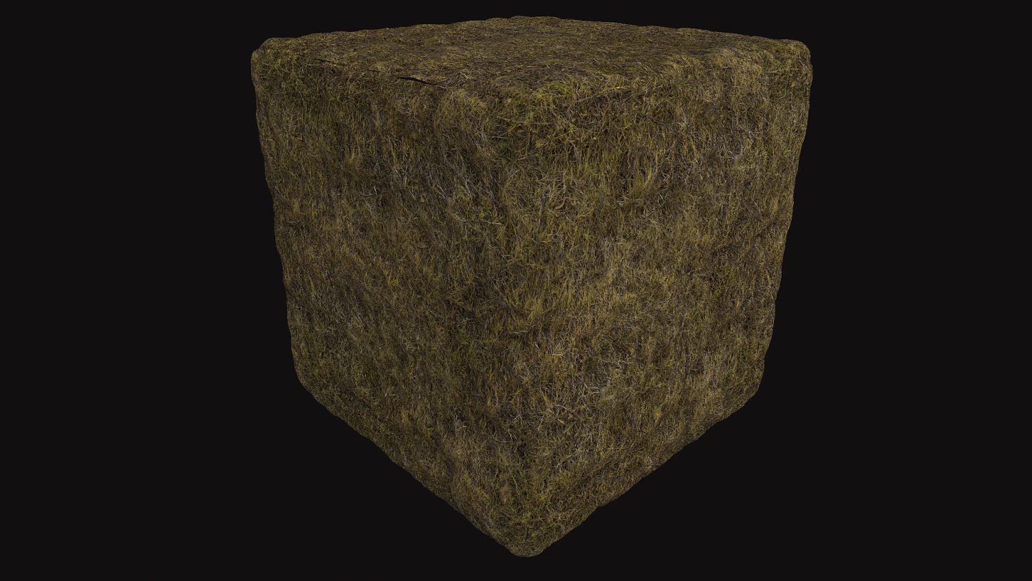 autumn grass CG Textures .c4d .max .obj .3ds .fbx .stl .blend 