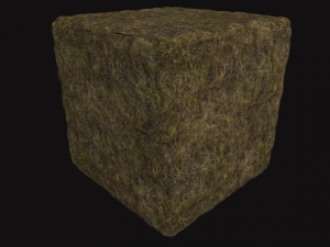 autumn grass Tekstur CG