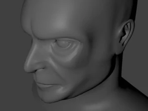head 1 3D Model