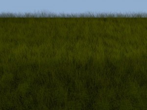 grass landscape 3D Model