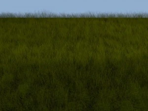grass landscape 3D Model