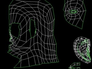 female head 3D Model
