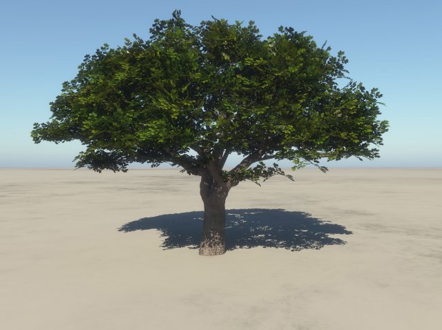 summer cherry tree 1 3D Модель .c4d .max .obj .3ds .fbx .stl .blend 