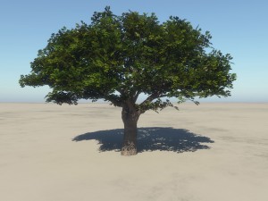 summer cherry tree 1 Modèle 3D