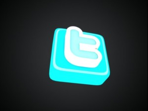 twitter 3d logo 3D Model