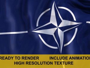 nato 3d flag 3D-Modell