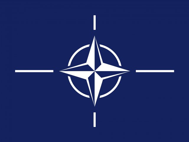 texture nato texture flag CG テクスチャ .c4d .max .obj .3ds .fbx .stl .blend 
