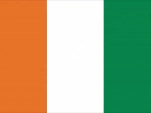 Флаг Кот-д'Ивуара CG Текстуры