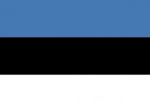 estonia flag CG Tekstury