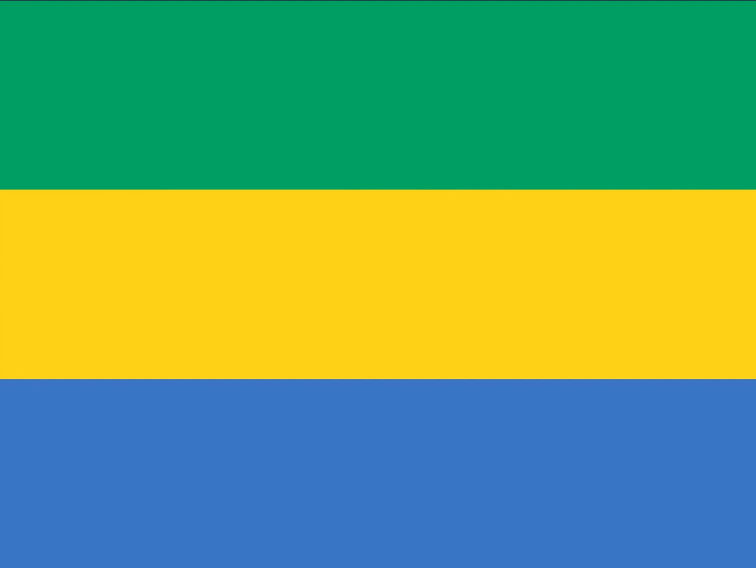 gabon flag CG Textures .c4d .max .obj .3ds .fbx .stl .blend 