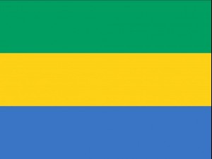 gabon flag CG テクスチャ