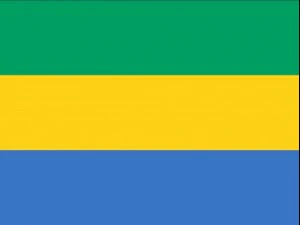flaga gabonu CG Tekstury
