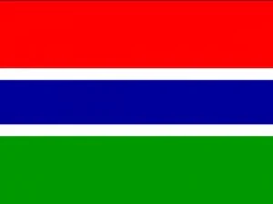 ガンビアの国旗 CG テクスチャ