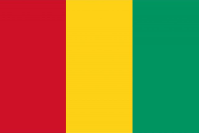 guinea flag CG 纹理 .c4d .max .obj .3ds .fbx .stl .blend