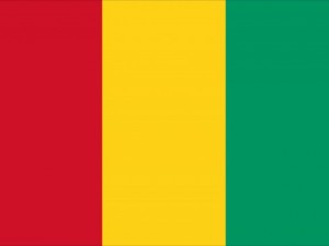 guinea flag CG Textures