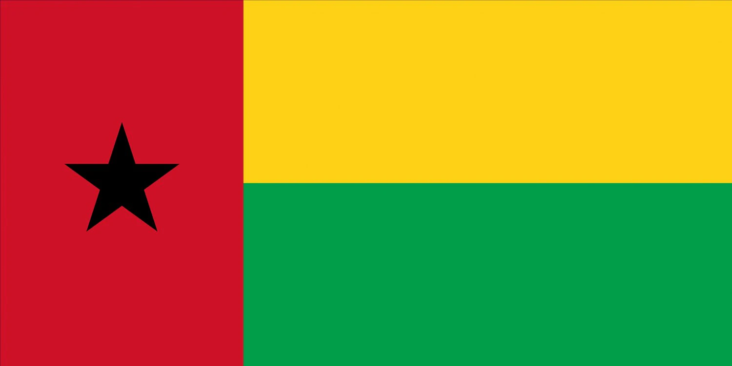 guineabissau flag CG Textures .c4d .max .obj .3ds .fbx .stl .blend 
