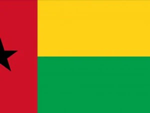 guineabissau flag CG Textures