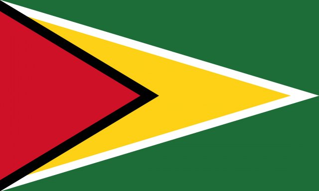 guyana flag CG Текстури .c4d .max .obj .3ds .fbx .stl .blend