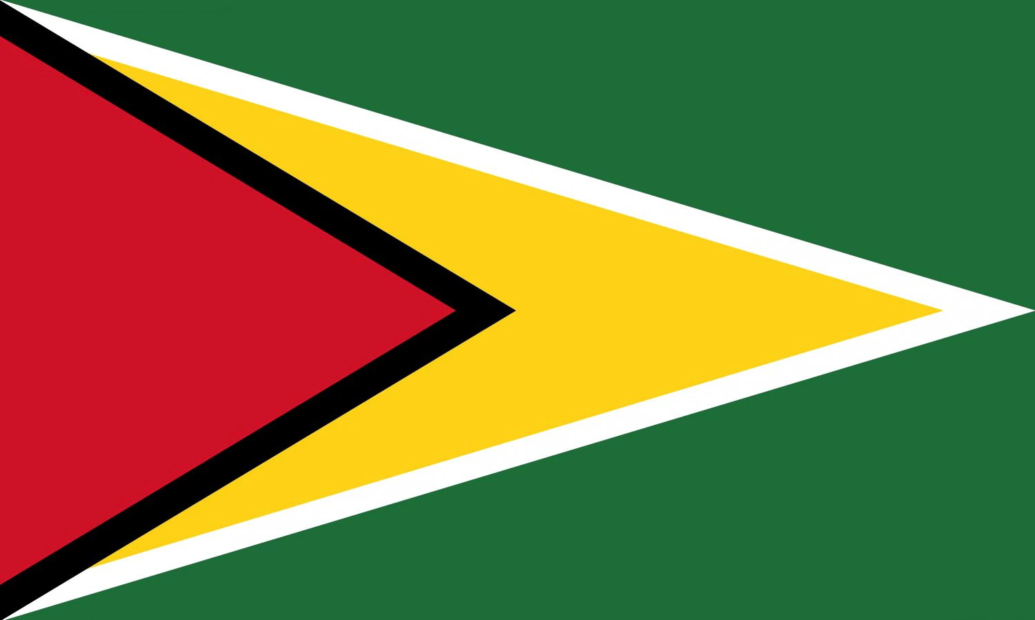 guyana flag CG Textures .c4d .max .obj .3ds .fbx .stl .blend