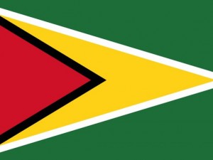 guyana flag CG 텍스쳐