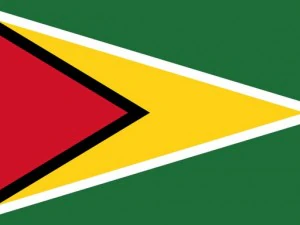 bandera de guayana Texturas CG