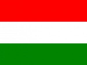 hungary flag CG Texturen