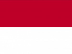 indonesia flag CG Textures