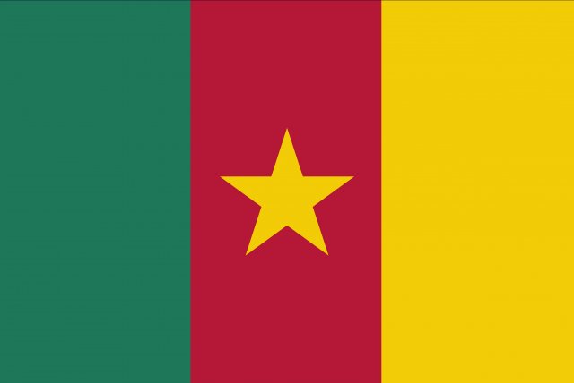 kamerun flag CG Dokuları .c4d .max .obj .3ds .fbx .stl .blend 