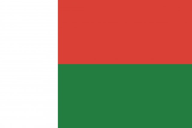 madagascar flag CG 纹理 .c4d .max .obj .3ds .fbx .stl .blend
