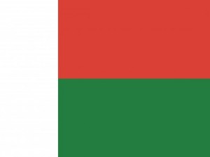 madagascar flag CG テクスチャ