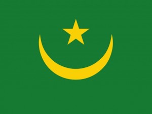 mauritania flag CG Tekstury