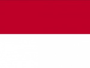 monaco flag CG Dokuları