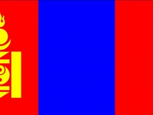 mongolia flag CG テクスチャ