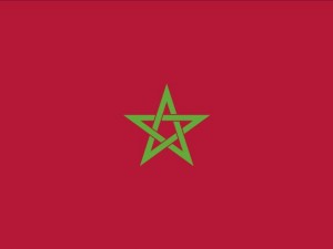 morocco flag CG テクスチャ