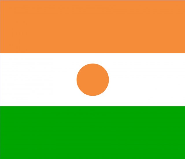 niger flag CG Texturen .c4d .max .obj .3ds .fbx .stl .blend 