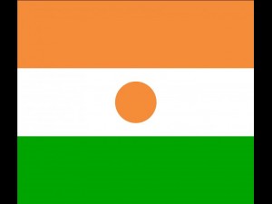 niger flag CG Textures