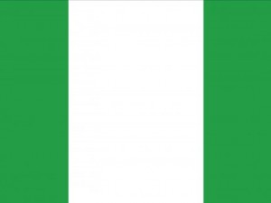 nigeria flag CG テクスチャ