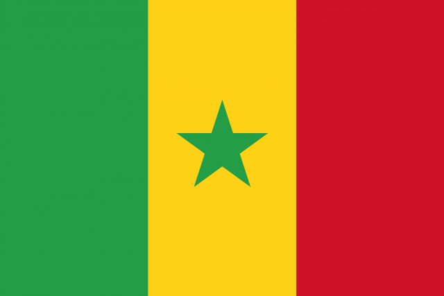 senegal flag CG Textures .c4d .max .obj .3ds .fbx .stl .blend 