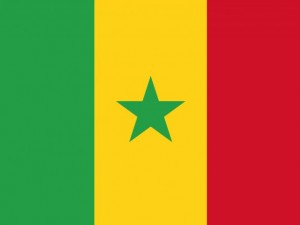senegal flag CG テクスチャ