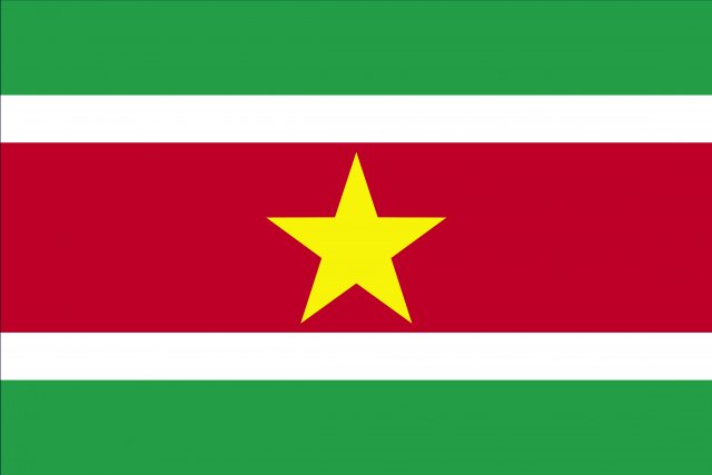 suriname flag CG Textures .c4d .max .obj .3ds .fbx .stl .blend 