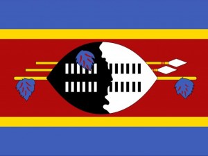 swaziland flag CG Текстуры