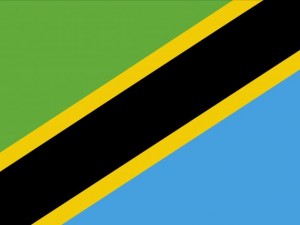 tanzania flag CG Textures