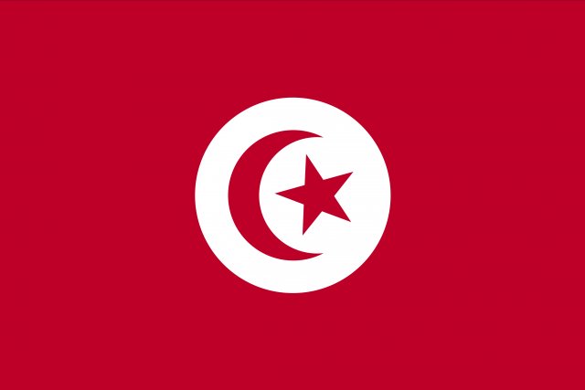 tunisia flag CG Tekstury .c4d .max .obj .3ds .fbx .stl .blend 