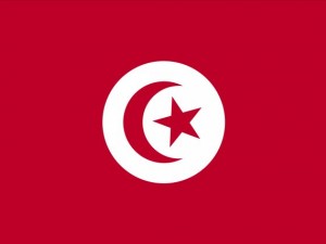 tunisia flag CG Tekstury